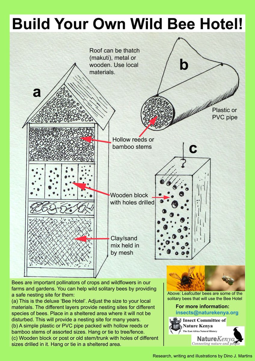 Oakland's tweet photo. Help local pollinators find rest and shelter by creating a Bee Hotel in your backyard or garden. Choose from a variety of models at: https://t.co/IPL7uU7L5k
#OaktownPROUD
#MLK40DaysOfService
#VolunteerOakland
For more info visit https://t.co/gJgSxMQkdG https://t.co/nrYeDaXiPC