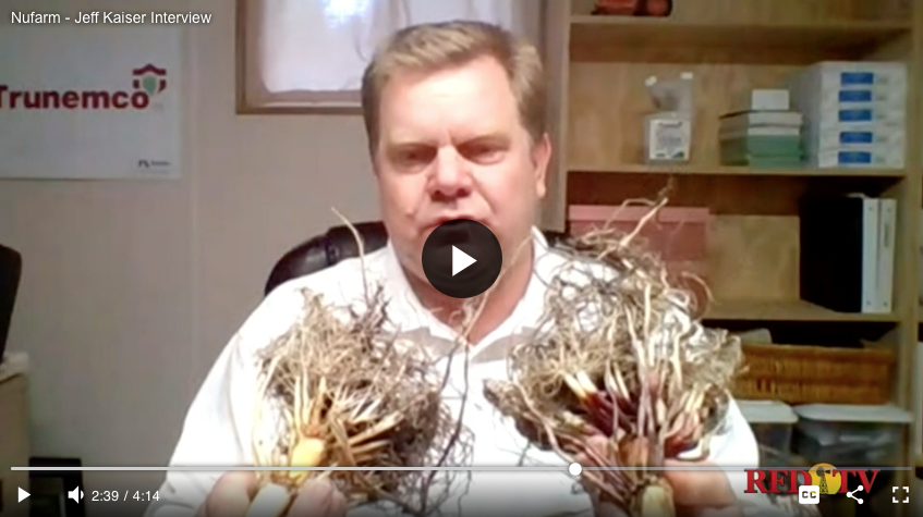 NufarmUS's tweet photo. WATCH: Drive down #nematode numbers with dual-defense #Trunemco. Nufarm expert, Jeff Kaiser, shares mid-season results with @OfficialRFDTV >> https://t.co/BibFFkTmHu

#GrowingYourWay #ag #agtwitter https://t.co/TcamLIi1Bx