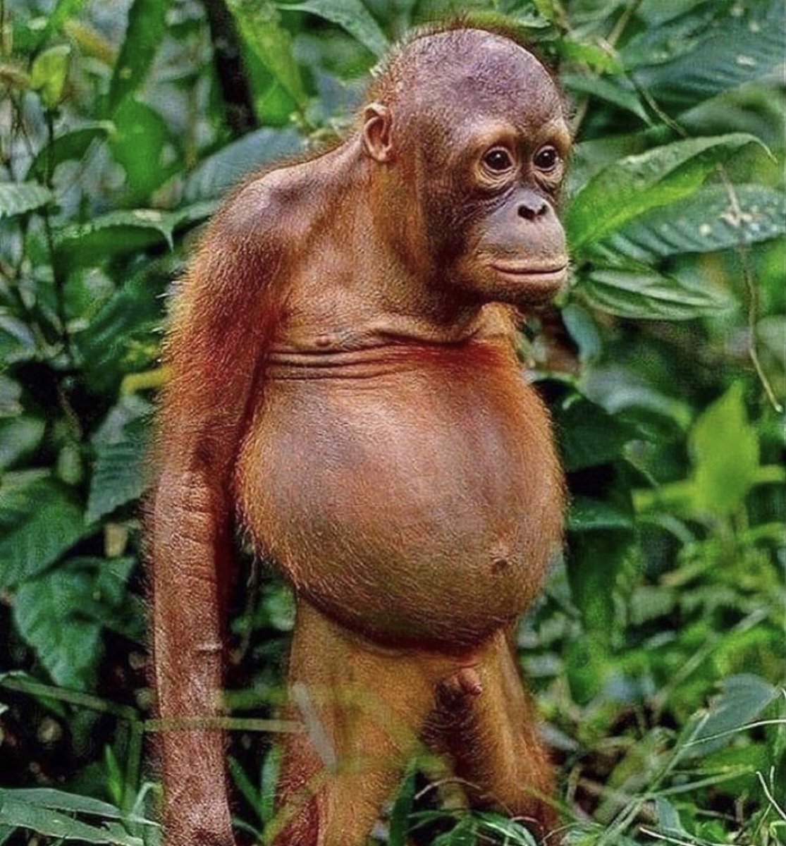 Girls at Ole Miss and their boyfriends