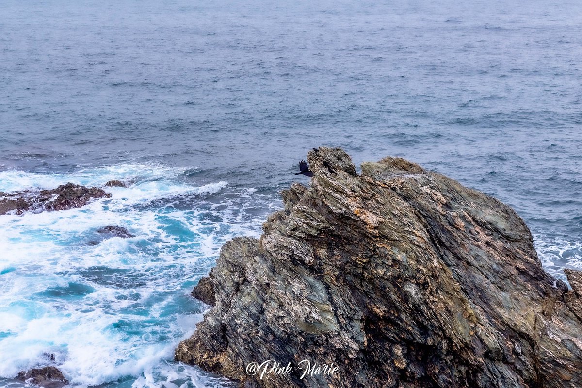 PinkMariermn's tweet photo. ©️ Rose Marie Nakache
@PinkMariermn
Prendre son envol...
Braver les tempêtes
Et croire en soi
Belle soirée les Loulous
#cotedazurfrance #photography #var #tourisme #paca #Tourisme #IleduGaou
@smileinouestvar @CanonFrance @CRT_RegionSud https://t.co/JWHJE8ZtIF