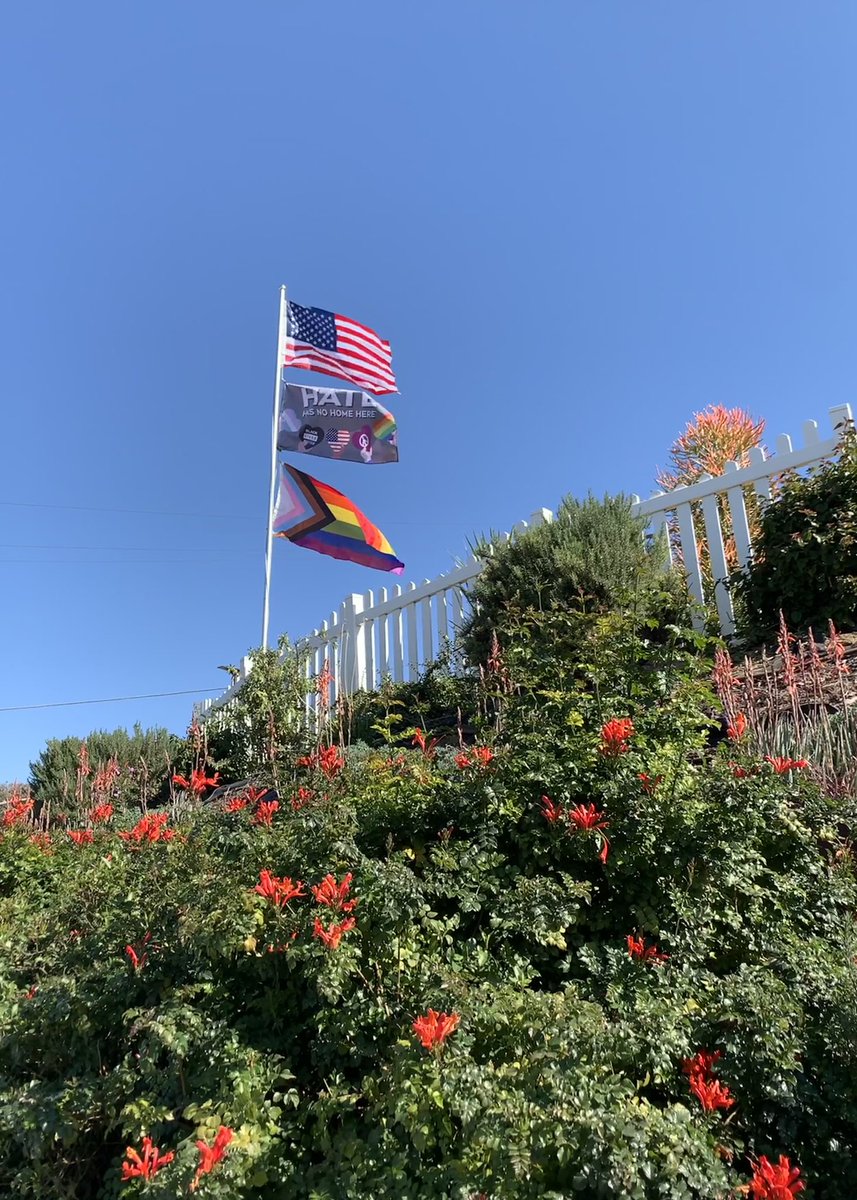 dewaldrep's tweet photo. 🌈💗🦋✨🌷 https://t.co/OeErKbIXCU