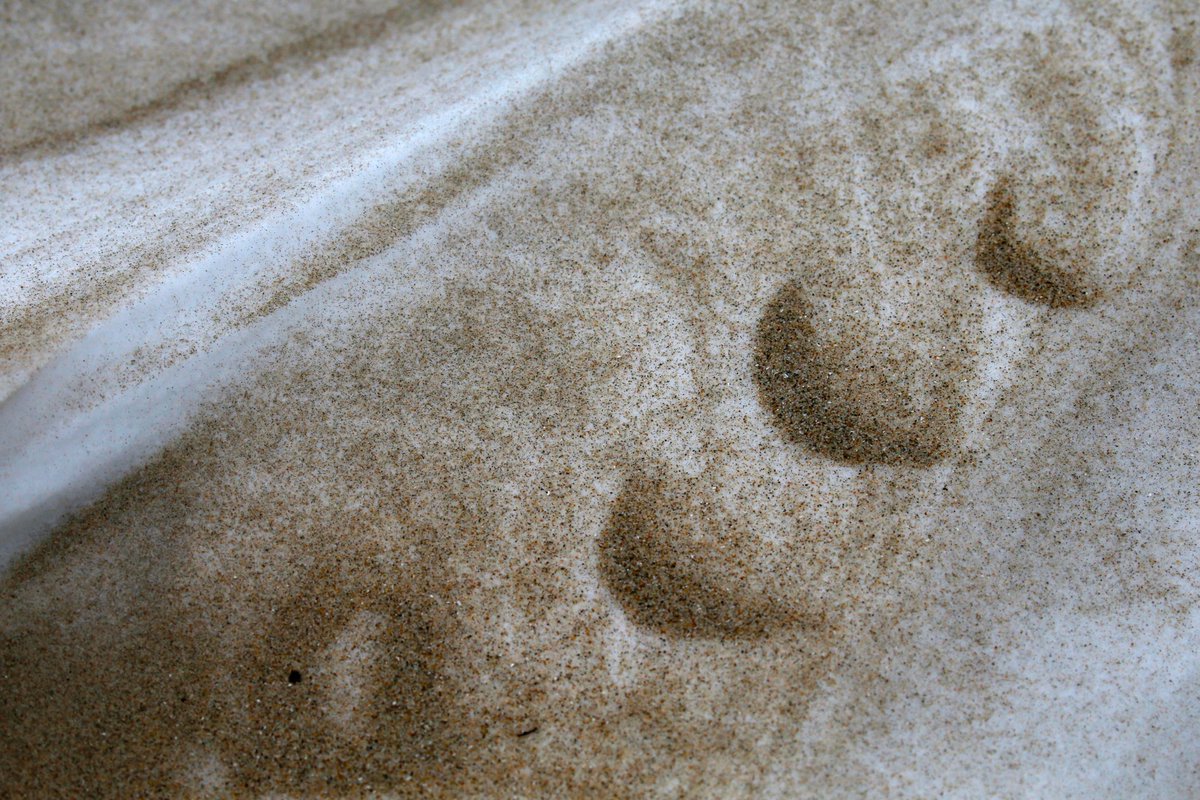 RobertKirkhamBN's tweet photo. Conditions were perfect for mother nature to paint #BennettBeach in #Angola with dry cold snow, light beach sand and the dunes as a canvas.
Here's some of my faves from the adventure. https://t.co/LabLvHhxrF