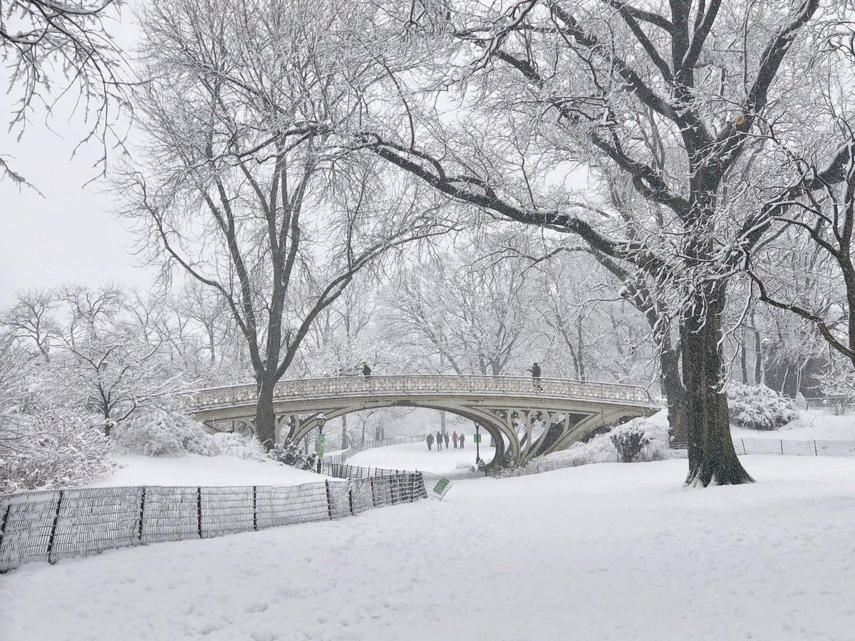 gigi_nyc's tweet photo. My fave bridge in @CentralParkNYC #NYC always looks magical in the #snow. ❄️⛄️❄️ https://t.co/dgwmJMnTGg