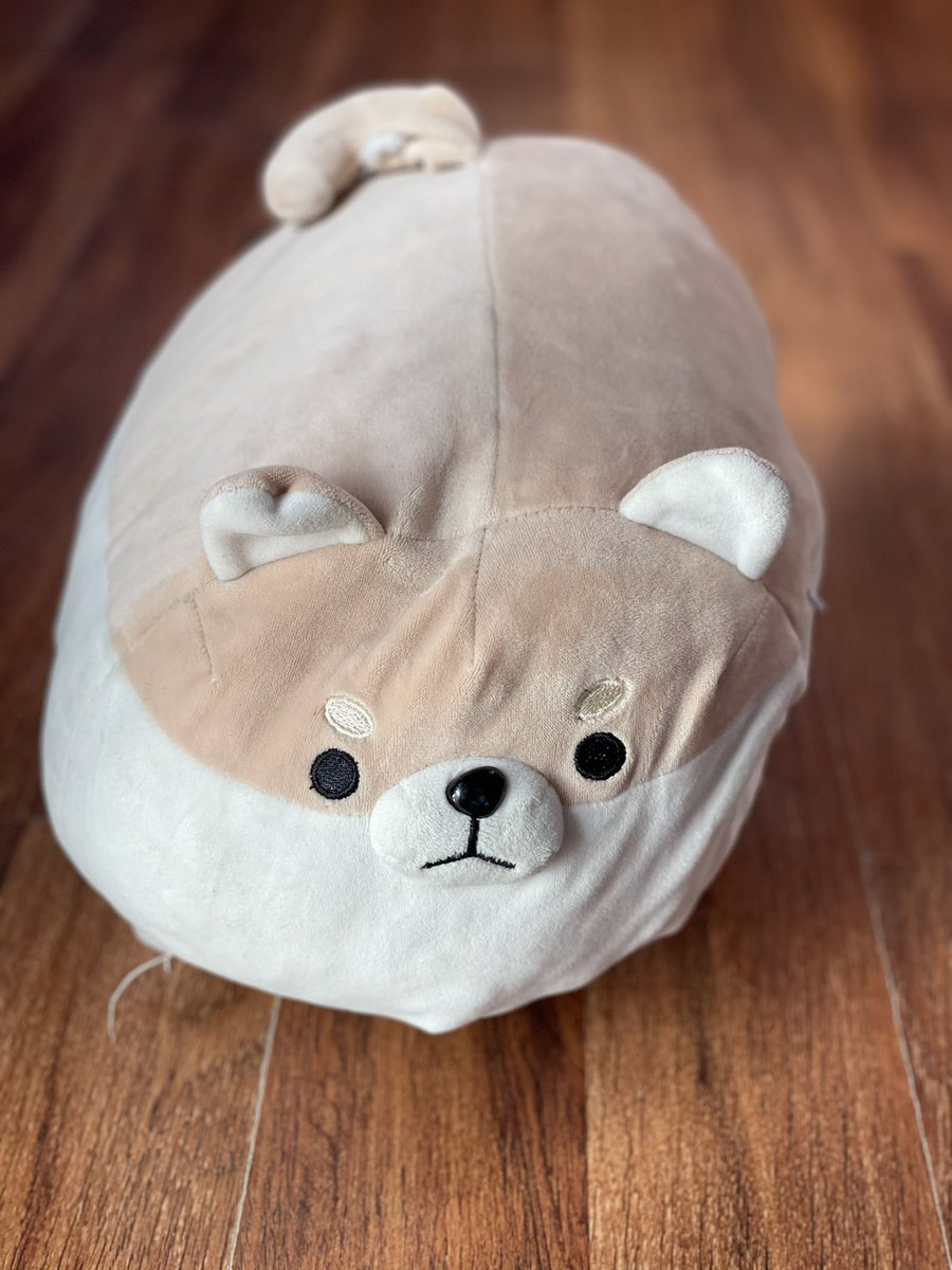#doge #DogecoinToTheMoon