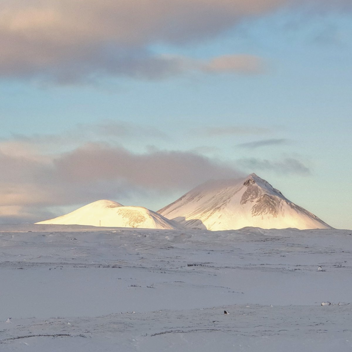 harpa_gud's tweet photo. #whinter #iceland tekin á milli Mývatns og Jökulsá á Fjöllum https://t.co/FjV9NM3MP8