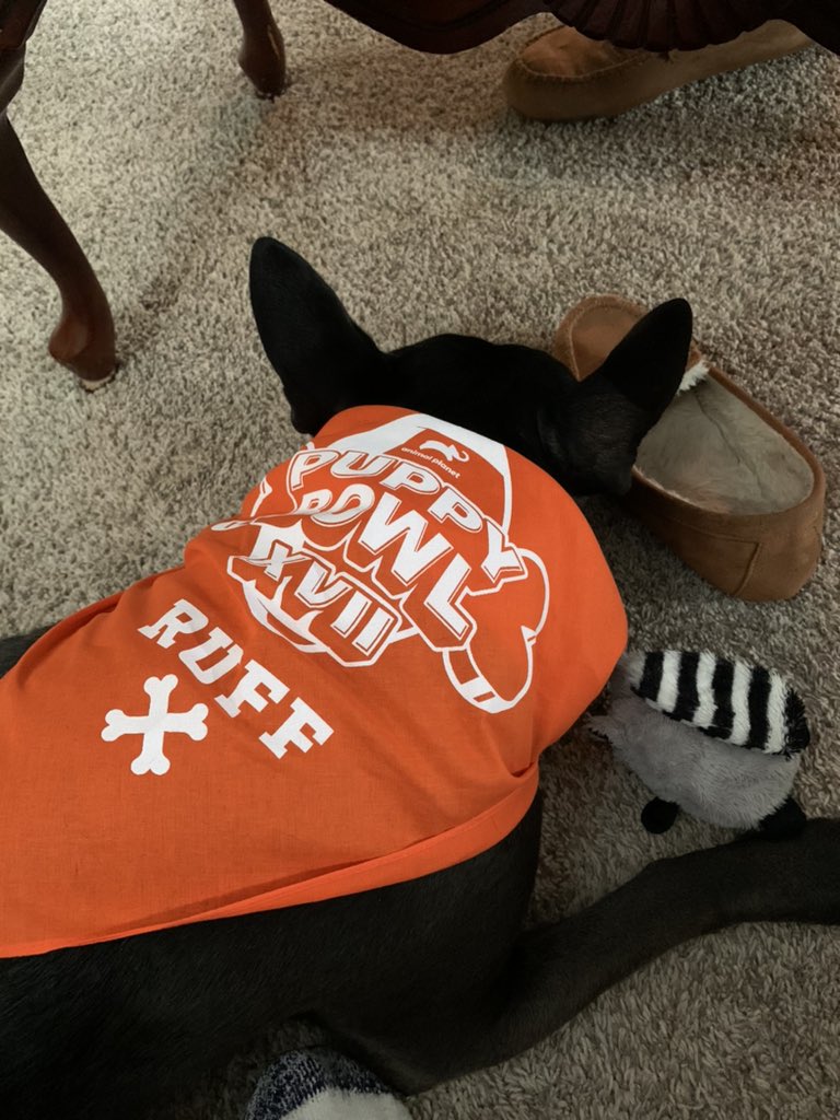 MikeyG610's tweet photo. “Let’s go team Ruff. You got this”! #puppybowl2021 https://t.co/PGsYhxzIFe