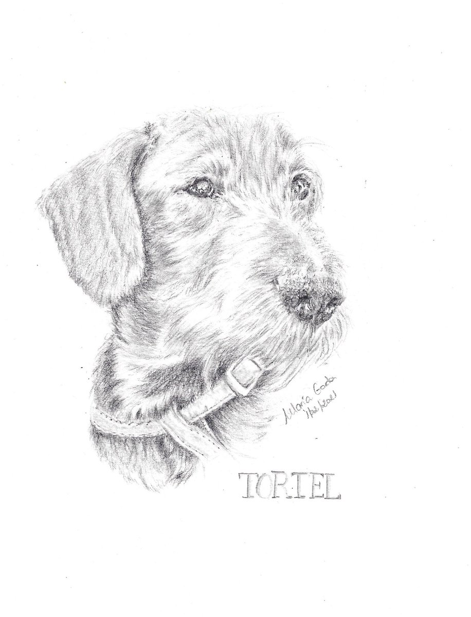 Dibujatumascota's tweet photo. Ya os puedo enseñar a TORTEL, un #teckel precioso que robó el corazón a toda su familia. @walksbyme_ me ha hecho muchísima ilusión
#sketch #graphite #Teckelart #animaldrawing #dogsportrait #fineart #staedtlerpencils #staedlermars @dibujo_tumascota
https://t.co/TayK2gu5Pf https://t.co/pVjW2qEv3t