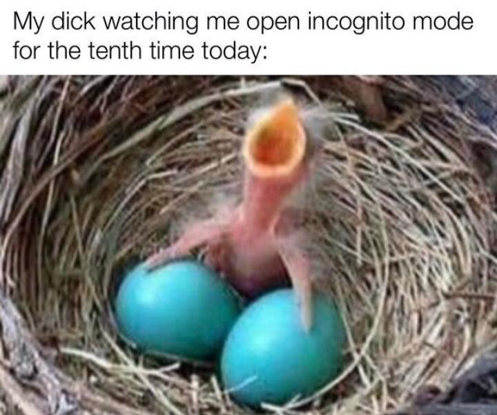 Dank Memes I Know What I Have To Do But I Don T Know If I Have The Strength To Do It T Co Hxffdgmvhn Twitter