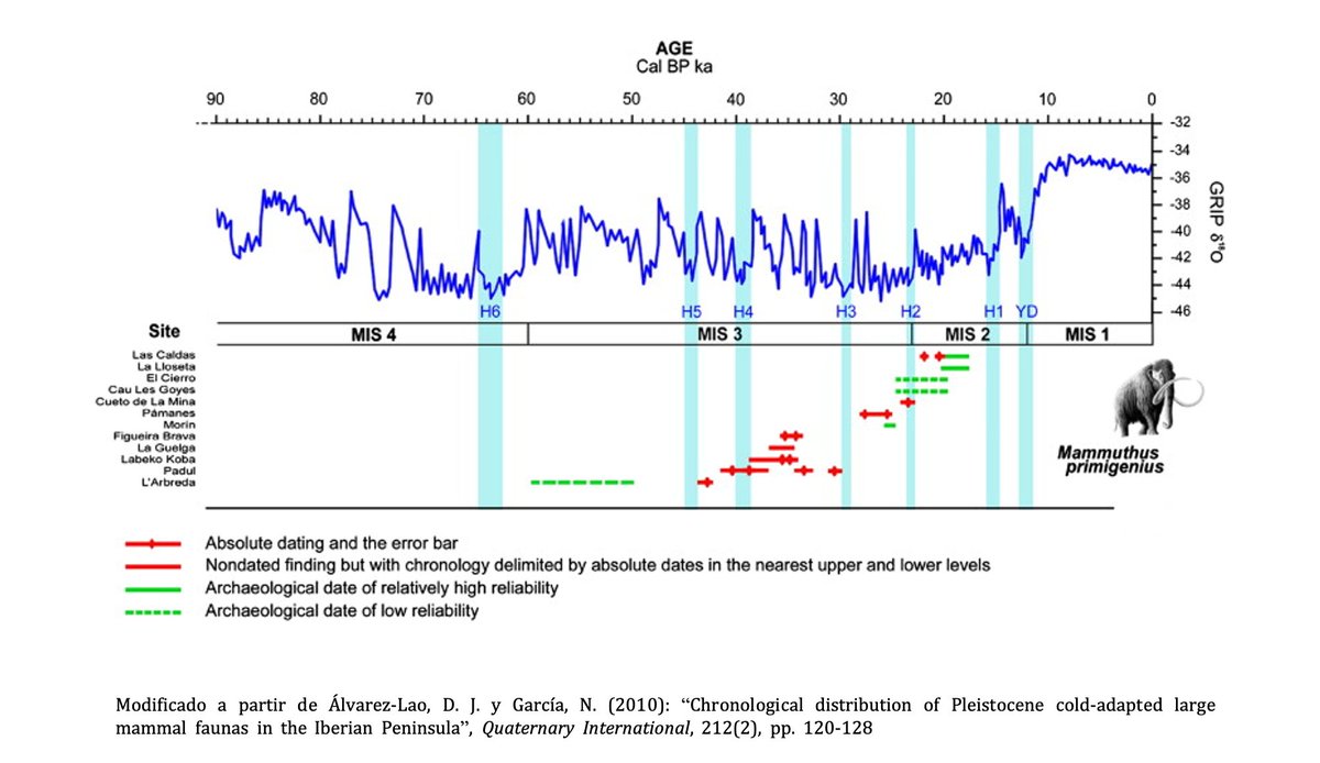 Sin embargo, a partir de una serie de dataciones sabemos que hay dos momentos en los que se ha constatado la presencia del mamut en la península ibérica: 43-30ka calBP y 28-18ka calBP. Estas fechas coinciden ampliamente con el Paleolítico Superior salvo en el Magdaleniense