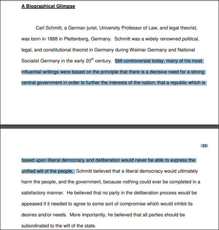 Schmitt argued that there is a decisive need for a strong central government in order to further the interests of the nation; that a republic which is based upon liberal democracy would never be able to express the unified will of the people. https://digitalcommons.buffalostate.edu/cgi/viewcontent.cgi?article=1019&context=history_theses