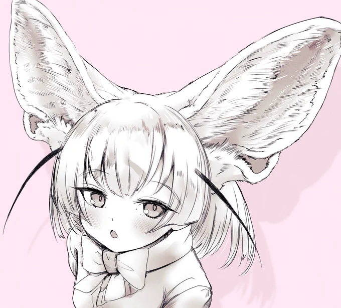 フェネックの耳でかい。好き 