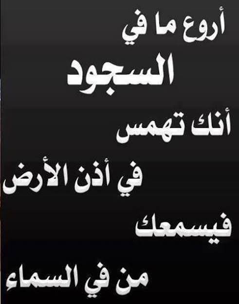 seoudigalal (@seoudi2015) on Twitter photo 