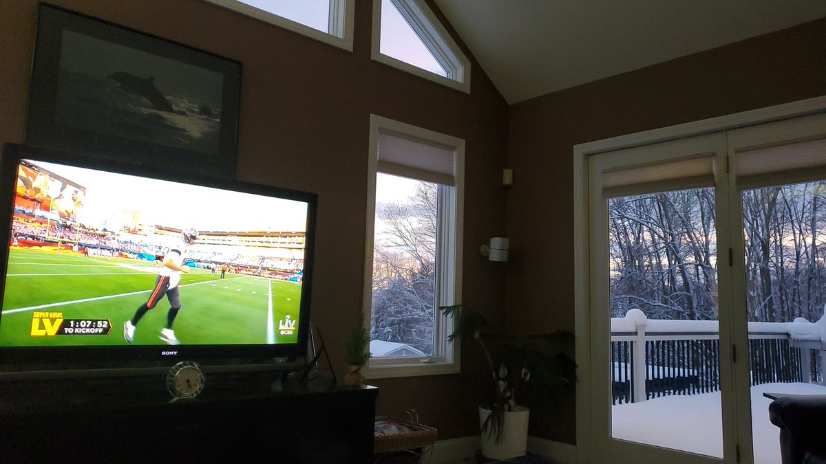 MichaelSobbell's tweet photo. @ArmandoSalguero From snowy Connecticut 🐬👍 https://t.co/LGkovaFph7
