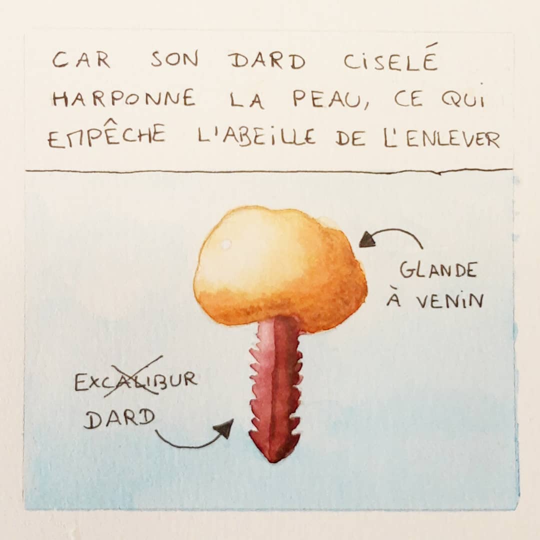 Tenefester's tweet image. Voici une nouvelle BD sur les secrets des abeilles 🐝

✍️ Aquarelle
⏳ 3h30

#comics #webcomics #bd #bee #abeilles #abeille #bees #beehive #ruche #drawing #drawings #pencil #art #watercolor #illustration #illustrationartists #nature #savethebees #savethebees🐝