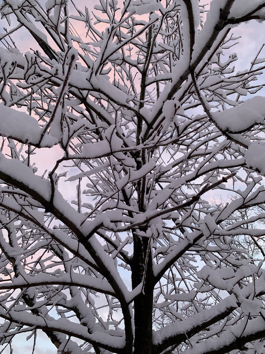 JaniceDean's tweet image. "A snowflake is one of God's most fragile creations, but look what they can do when they stick together!"