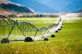 Mrs_Schultz20's tweet photo. @AlyssaAdair12 “Do these things take off?!”
Daniel: “I don’t know how you’re making $30 an hour.” 
*picture for reference* https://t.co/Qv6uP0vutX
