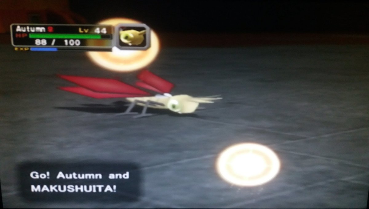 daeekhoorn tweet media