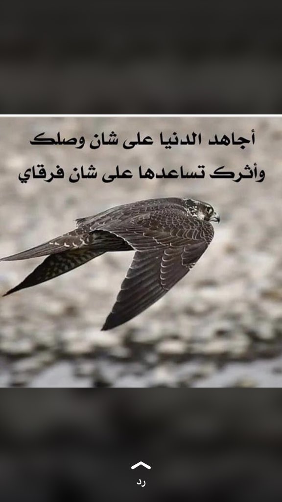 عبدالرحمن الرشيدي / 🎶☹️💔 (@fndsxv) on Twitter photo 