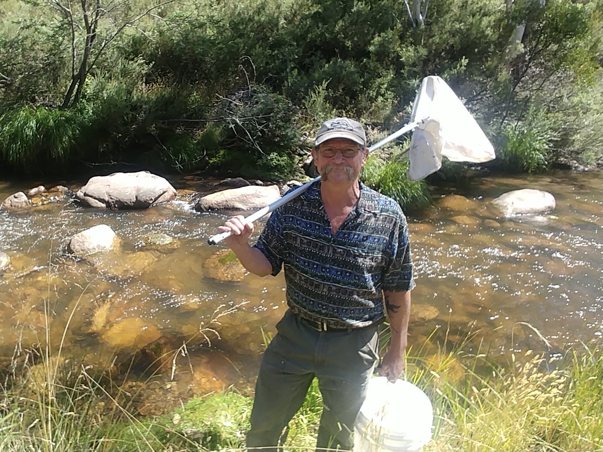 waterbugblitz tweet media