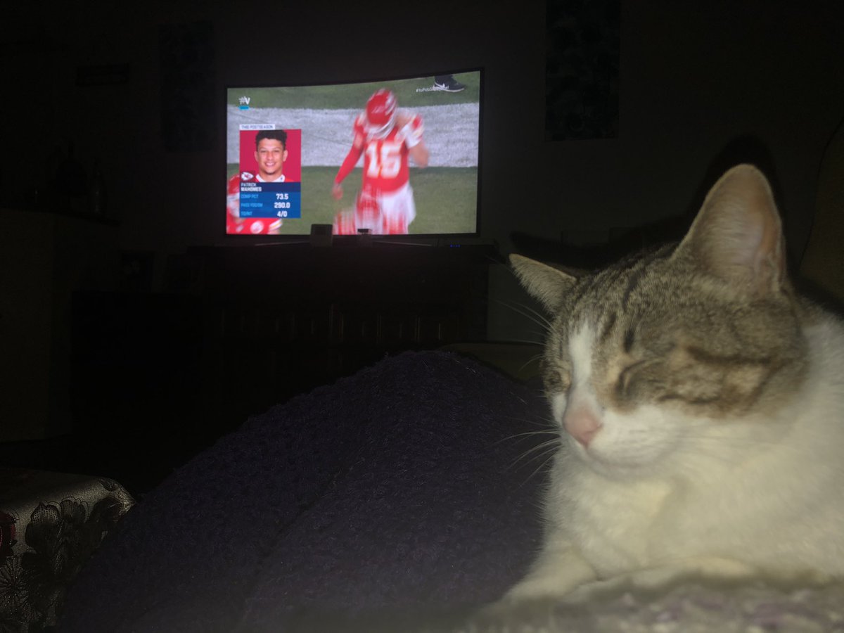 brunox69's tweet photo. #YoPidoSuperBowl ...y el gato También! Let’s go chiefs! #Superbowl https://t.co/sX8VzIwWsm