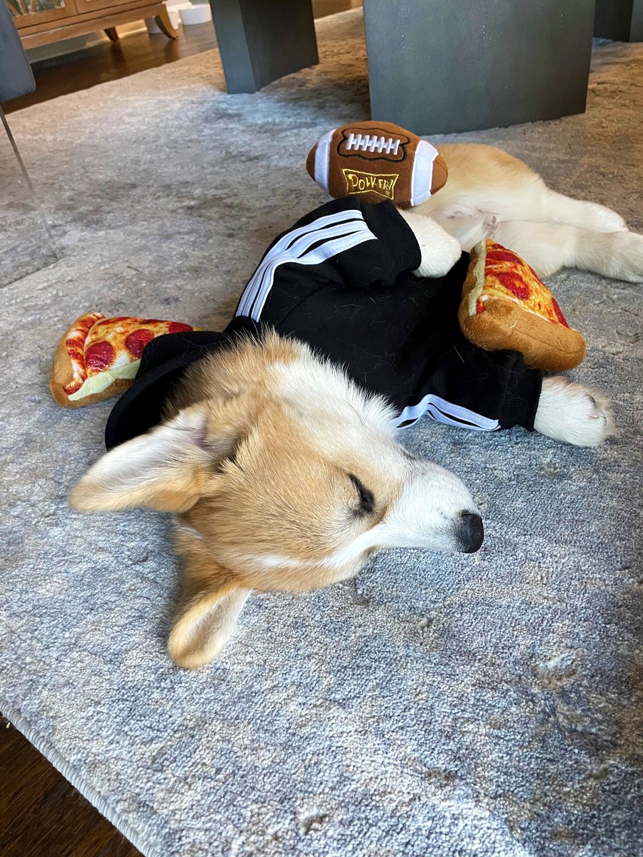 Theodore Wilder tweet media