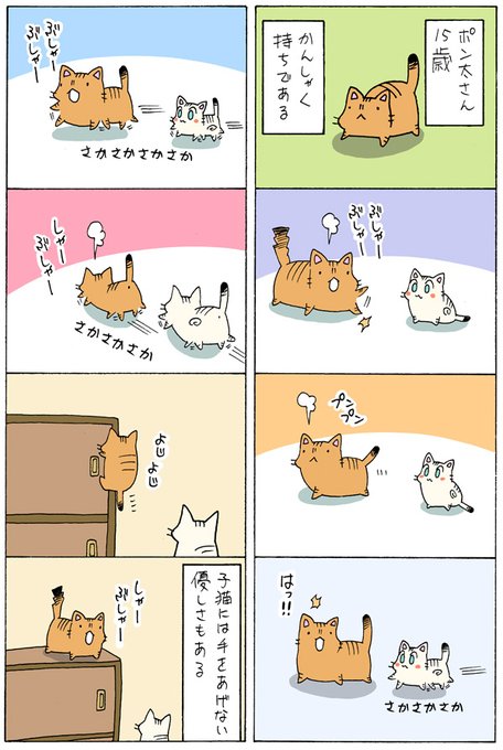 片倉真二 Katakura Shinji さんのマンガ一覧 ツイコミ 仮 片倉真二 Katakura Shinji さんのマンガ一覧 ツイコミ 仮