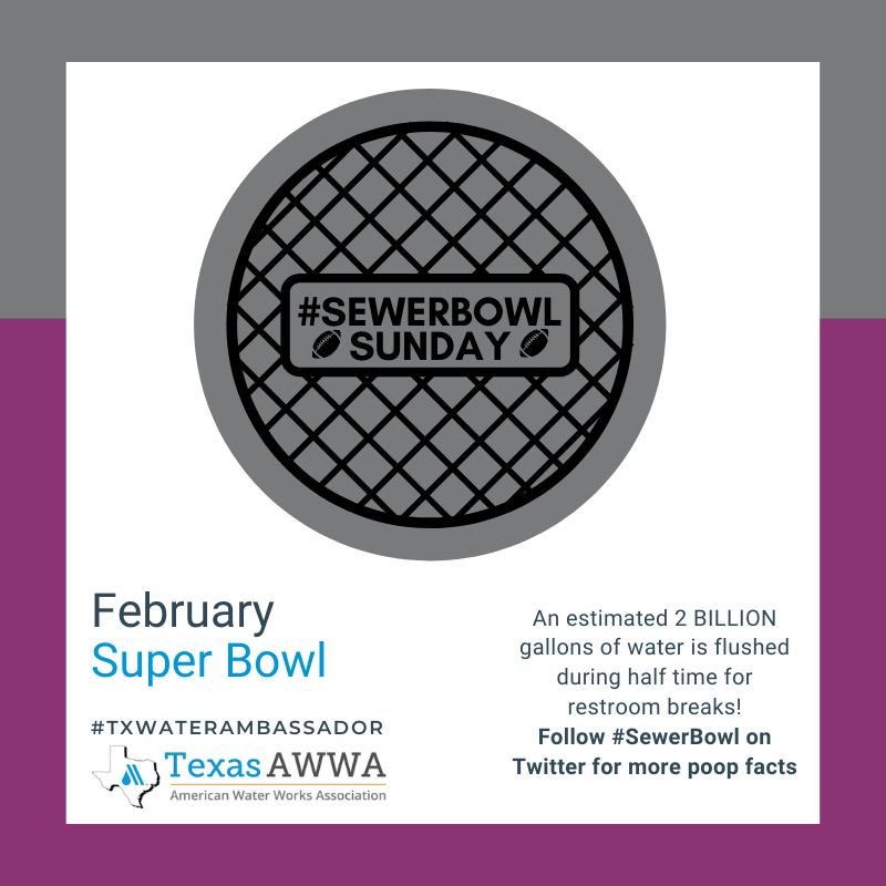GreenDallas's tweet photo. Missing the crowds today? Even watching the big game at home, you can still be a part of the #BigFlush at halftime. #NoWaterNoBeer #NoWaterNoSoda #NoWaterNoFun #TXWaterAmbasador https://t.co/CI99TbkA2I