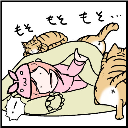 ミュウくん、なぜウサ子さんを・・・?w
#にゃんこ  #まんが #マンガ #4コマ漫画 #四コマ漫画 #猫  #ねこ #猫あるある #猫漫画 #ペット #飼い主 #エッセイ漫画 #キャット #ねこのいる生活 #猫ばか 