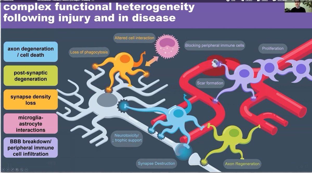 Really enjoying the talk by <a href="/LiddelowSA/">Shane Liddelow 🍊</a> - great insights into how astrocytes act after trauma  <a href="/ints2020/">INTS2020</a> #INTS2021