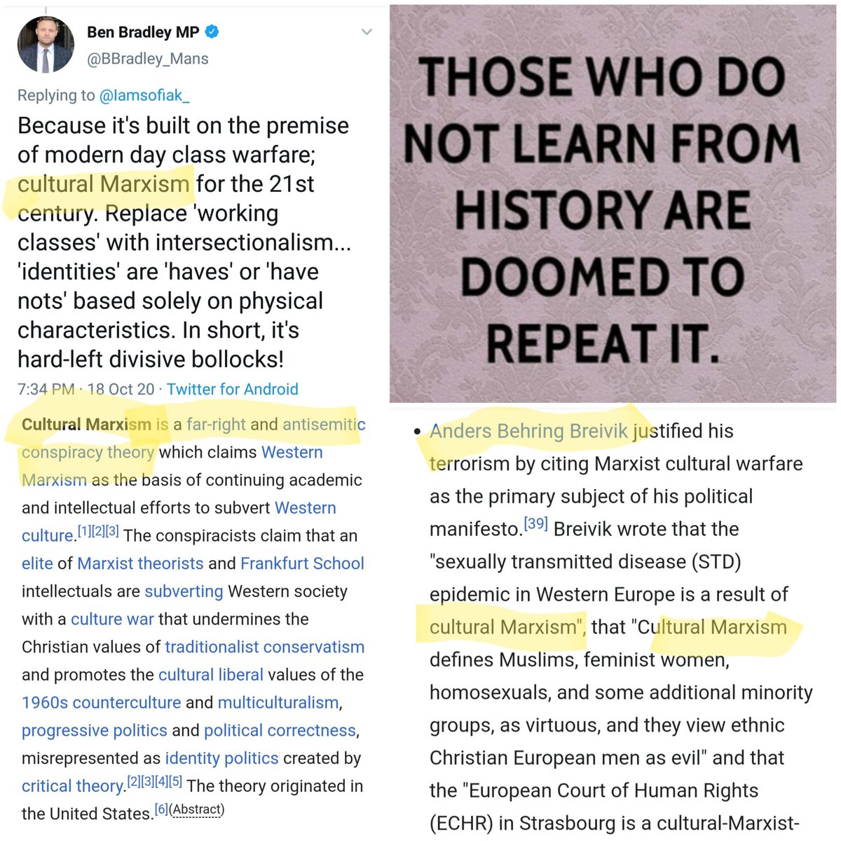 Furthermore, Attorney General Suella Braverman, Tory MP Ben Bradley, & the large group of Tories known as "The Common Sense Group", have all used the antisemitic conspiracy theory of "cultural Marxism" - which inspired far-right terrorist Anders Breivk - on numerous occasions.