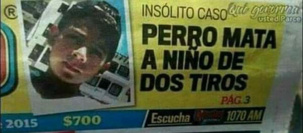 Cuando vas patinando en la calle y no te detiene el perro que está ladrando.