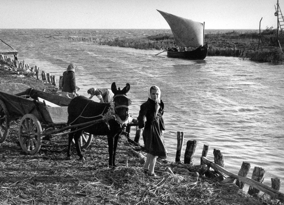 Inge Morath ‐ Danube River, 1958