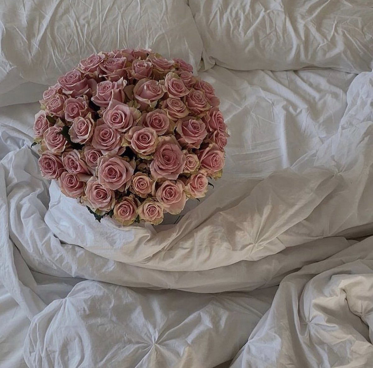 llncai's tweet image. 