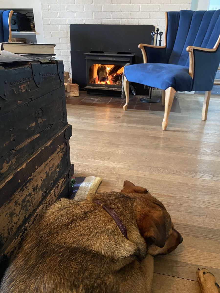 Matt Keyes tweet media