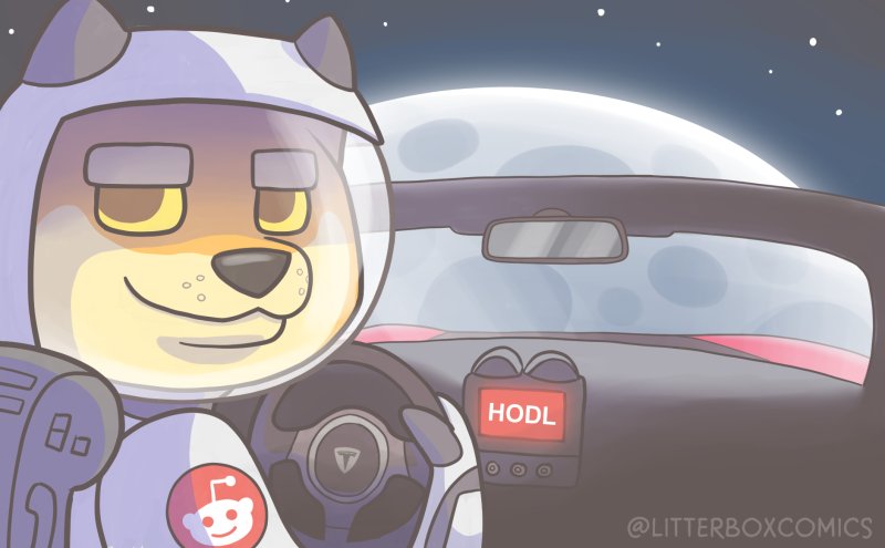 Elon Musk On Twitter D Is For Dogecoin Instructional Video Https T Co Ueeocofctb