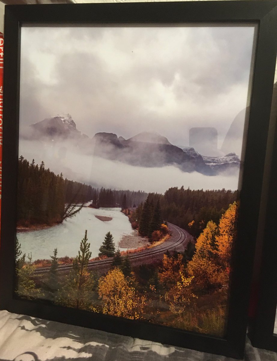 Lisa_M_Payne's tweet image. When you buy @shotbydevan photos and then frame them, this is the result. So, so beautiful 🥺🥺💗💗