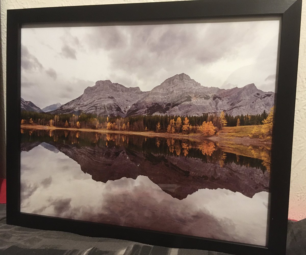 Lisa_M_Payne's tweet image. When you buy @shotbydevan photos and then frame them, this is the result. So, so beautiful 🥺🥺💗💗