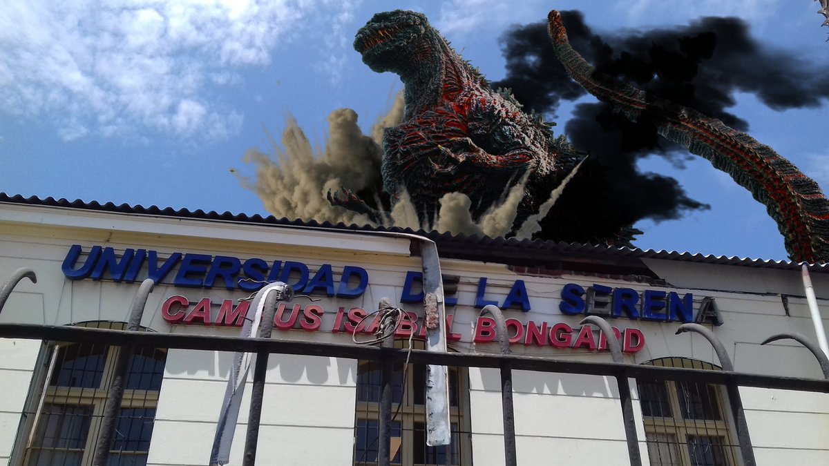 Max Ossa tweet media