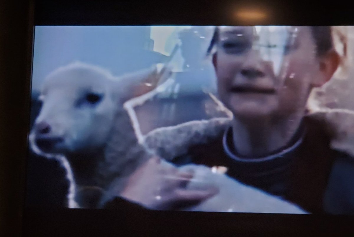 WeMakeAdeel's tweet photo. Kidnap Brady.  WTG kid.  That's the only way KC wins.

#SuperBowlCommercials 
#GOAT https://t.co/FRQPqihFYe