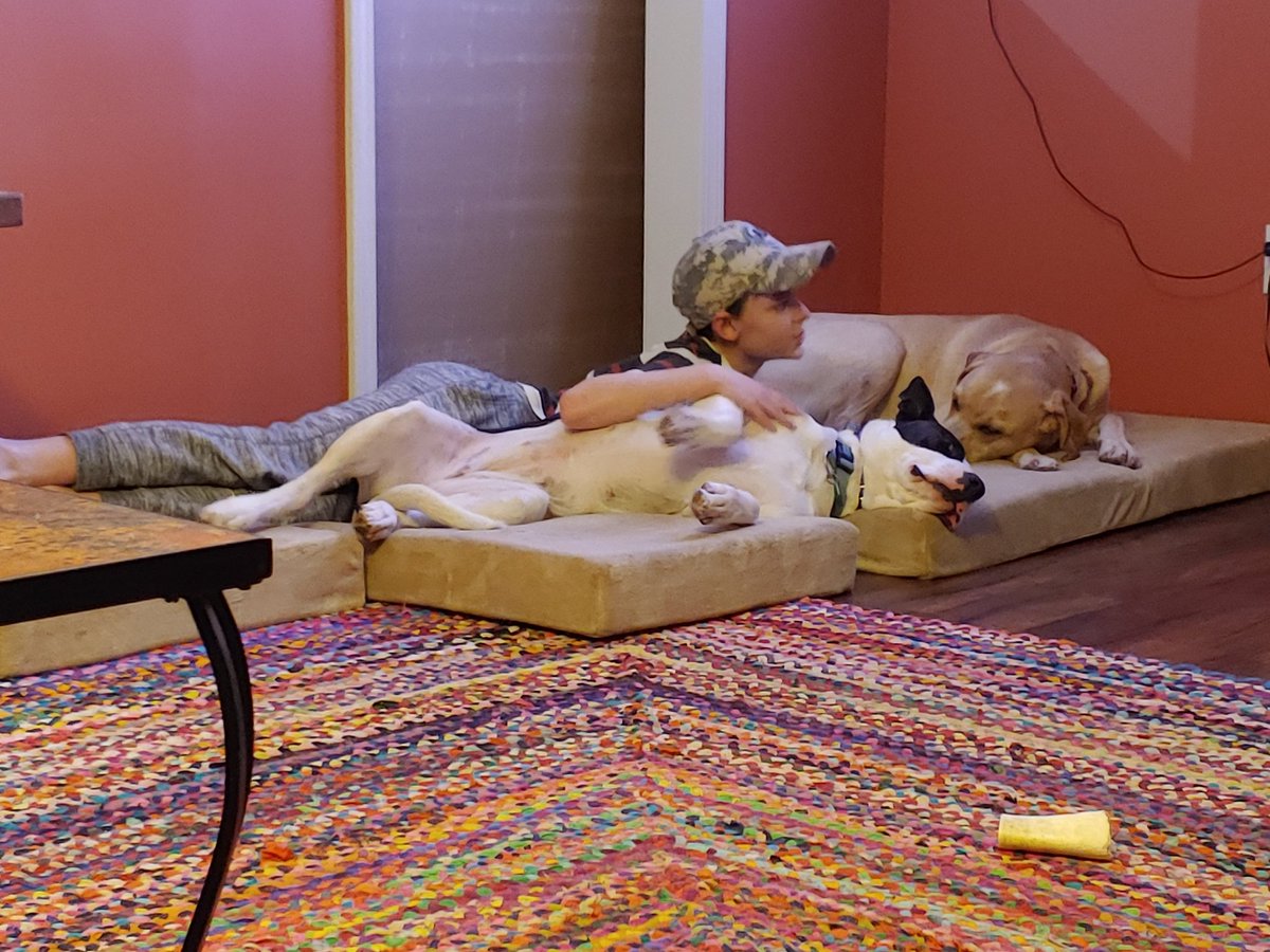 Rob W (@rvwrks) on Twitter photo 