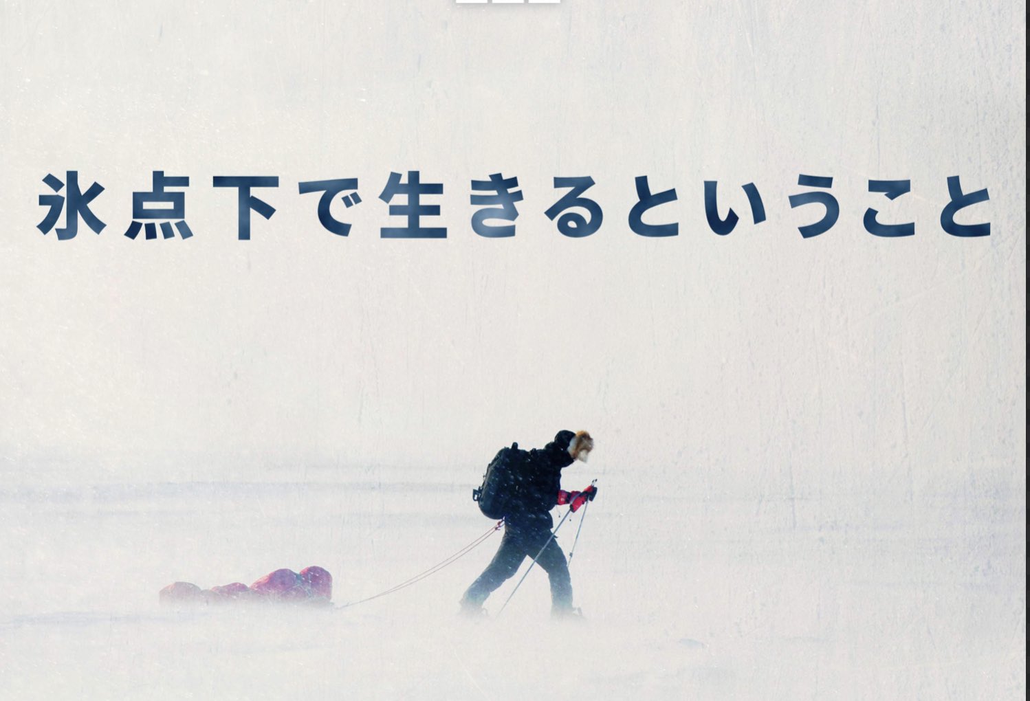 氷点下で生きるということ Twitter Search Twitter