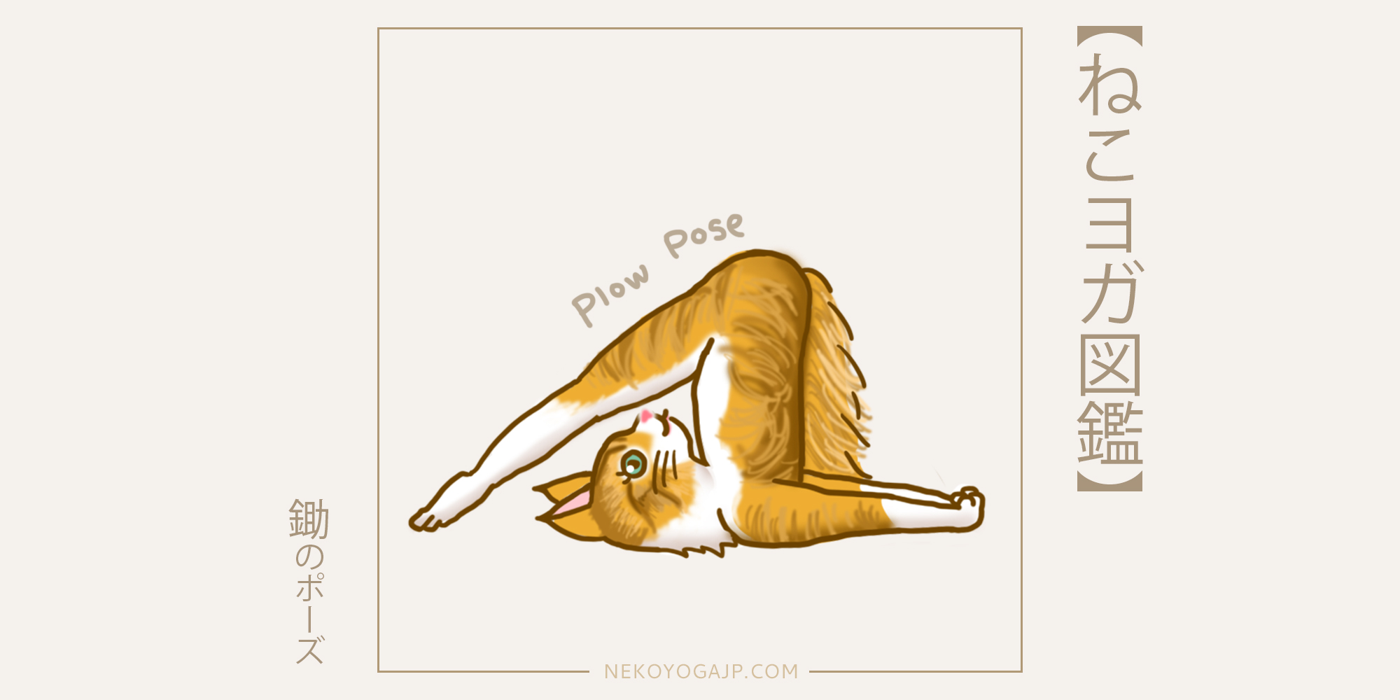 Mui ねこヨガ図鑑 長毛種の猫はなんか上品な感じ ヨガ ヨガポーズ デザイナー メインクーン クリエティブ イラストレーター 絵描きさんと繋がたい 絵ガク 猫好きさんと繋がりたい イラスト好きな人と繋がりたい イラスト企画 ねこ 猫