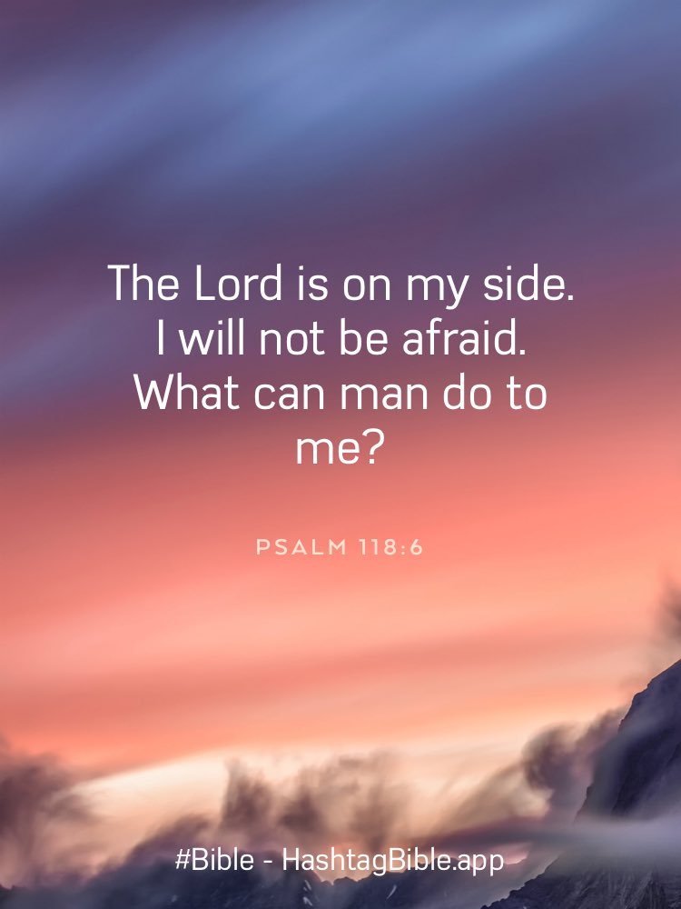 ChanksRed's tweet image. 