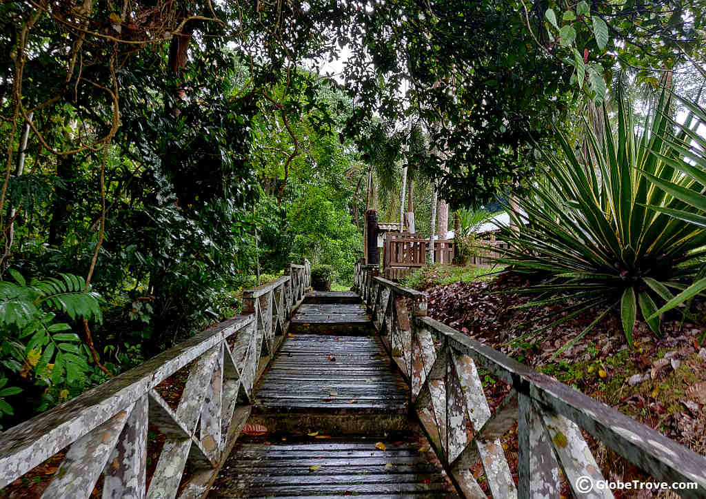 Today's site is Niah National Park, Sarawak, Malaysia. It's the location of Niah Caves and archaeological site. In the 1950's evidence of human habitation was found in the caves dating back to the Paleolithic era, 40,000 years ago.