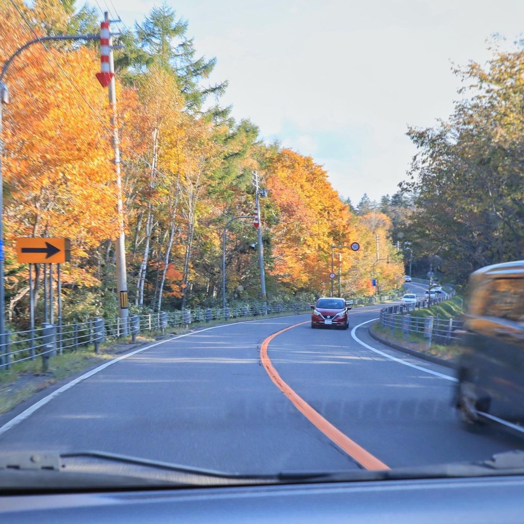 公式 カレコ カーシェアリングクラブ 人気記事 ドライブの知識 白 黄色 実線 破線 二重線 Etc クルマを運転すれば必ず目にする道路のセンターラインの種類とその意味 きちんと覚えていますか 昨年の人気記事から おさらいしてみましょう