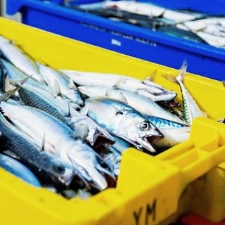 魚臭い消し洗剤 魚臭い消し洗剤