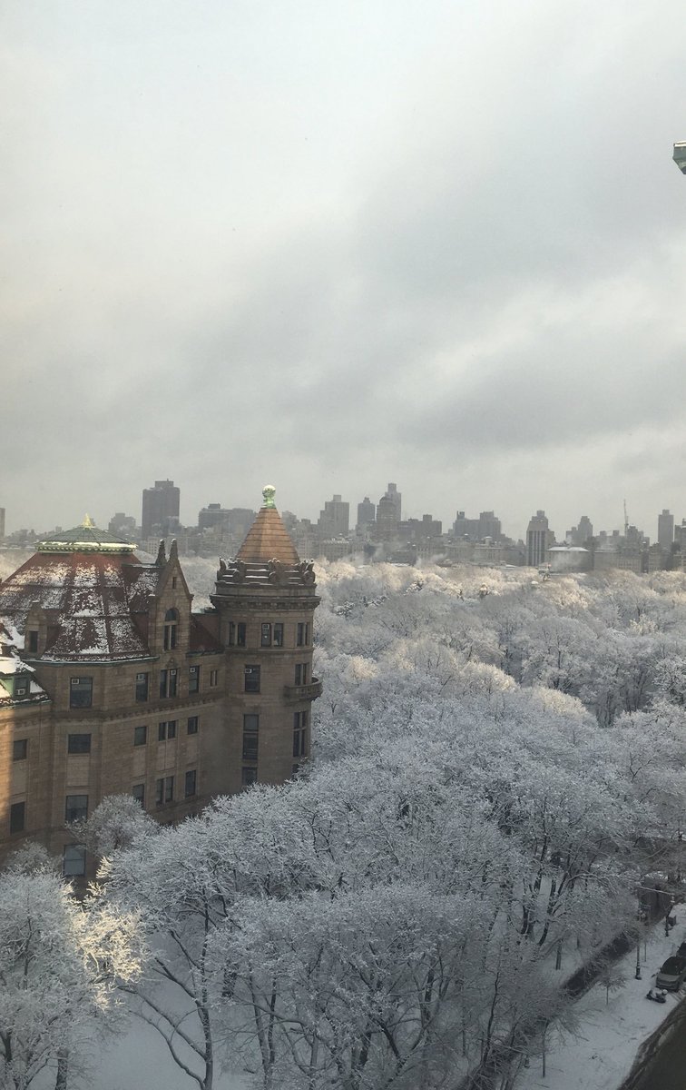 Sunlight on snow in NYC. #lovenyc