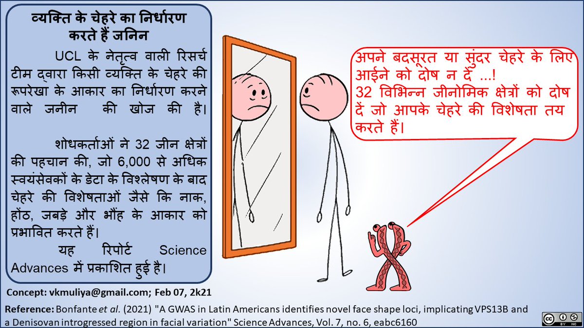 vkmuliya's tweet photo. #Scientoon on "Genes determine the person's face" published in Science advance of @ScienceMagazine with the group of scientists from various organisations like: @uclnews , @univAMU_Europe, @Univ_BFC, @psl_univ, 
@CayetanoHeredia , @institutpasteur , @uconnhealth https://t.co/AKFrKGKOfS