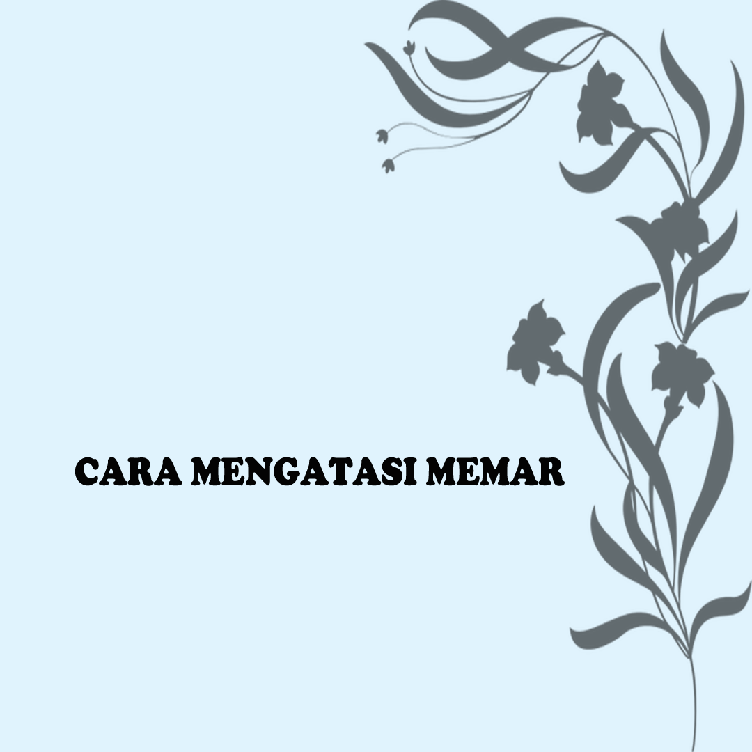 MujarabOfficial's tweet photo. CARA MENGATASI MEMAR
.
.
.
.
.
.
.
.
.
.
#mujarabofficial #obatmujarab #sinarherbaradix #obatviral #obatherbal #shr #wargamujarab #obatcinaasli #obattradisional #warmuj #obatherbalalami #obatherballengkap #obatcinamurah #obatcina #tokopedia #shopee #jdid #blibi #bukalapak https://t.co/gvxJeMhcZ1