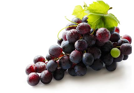 TheHomeBrewBarn's tweet photo. Winter Brewings and Spring Grape/Fresh Juice Harvest - https://t.co/aKYbn3n6t9 https://t.co/I8IYjQe5LC